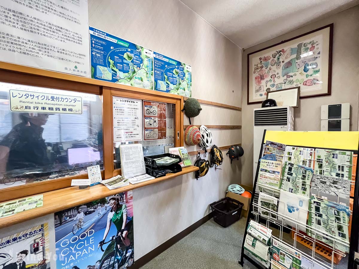 奥入濑溪流夏天新绿