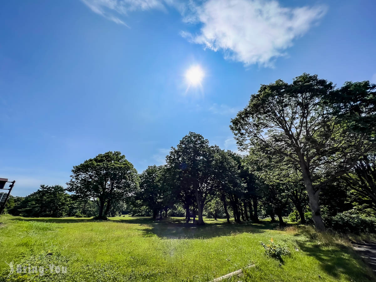 奥入濑溪流夏天新绿
