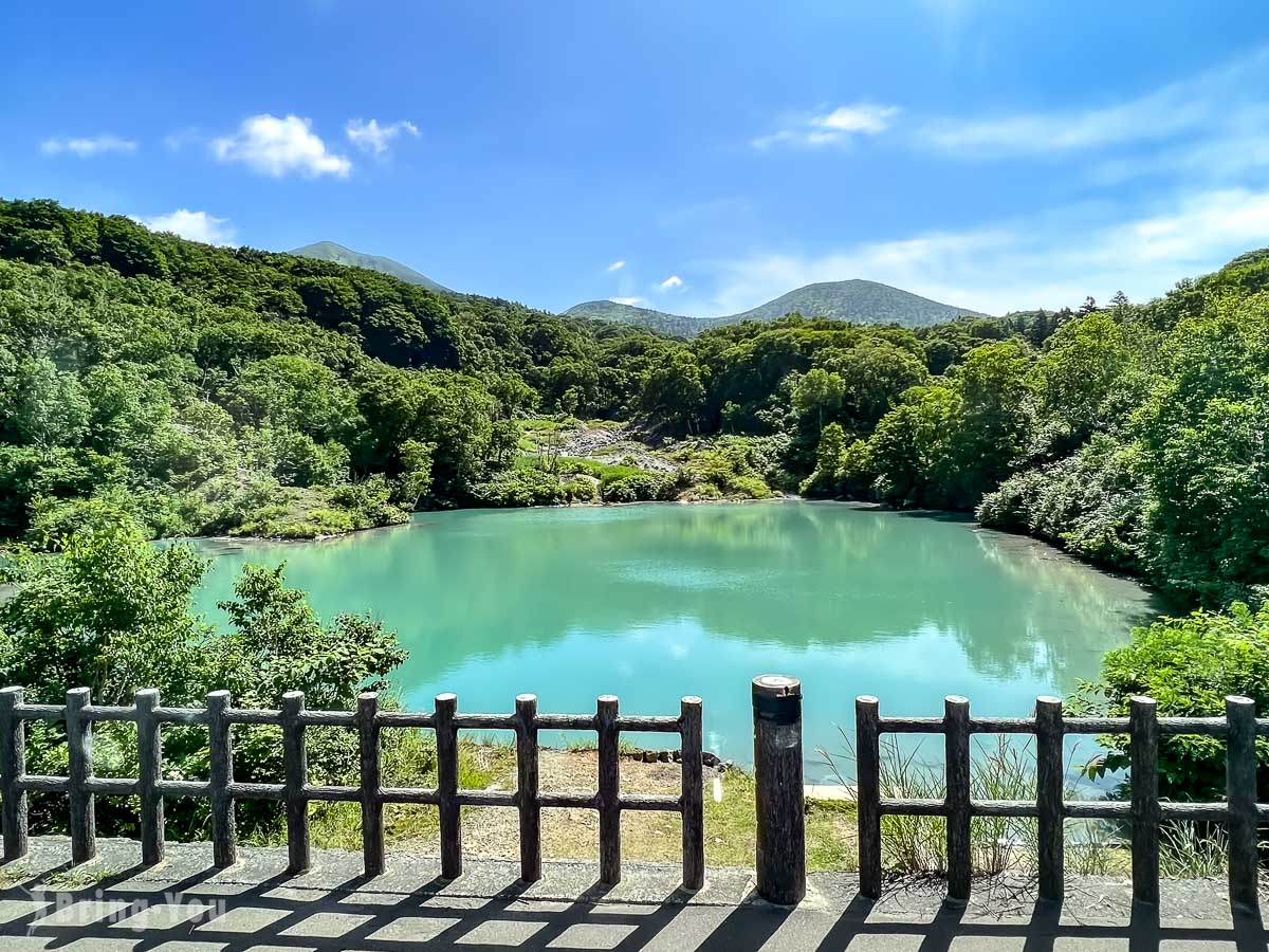 奥入濑溪流夏天新绿
