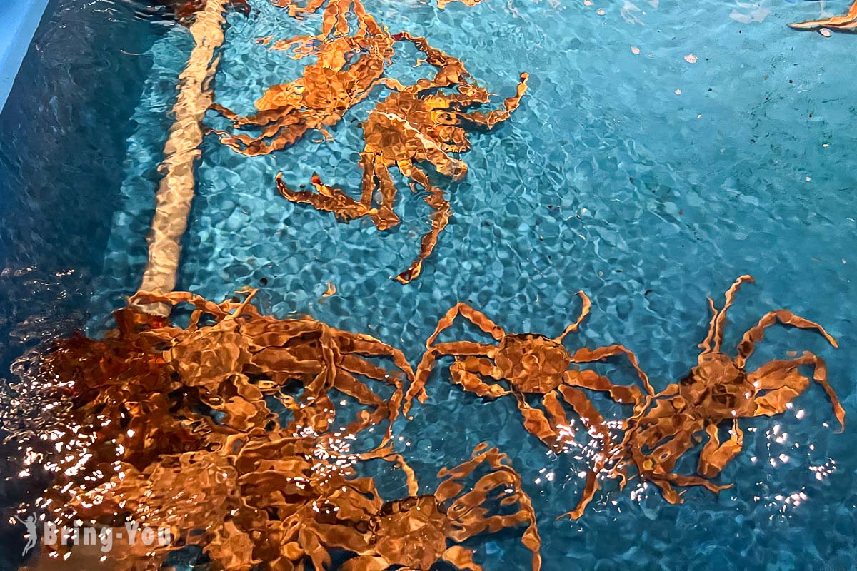 函館居酒屋 海光房