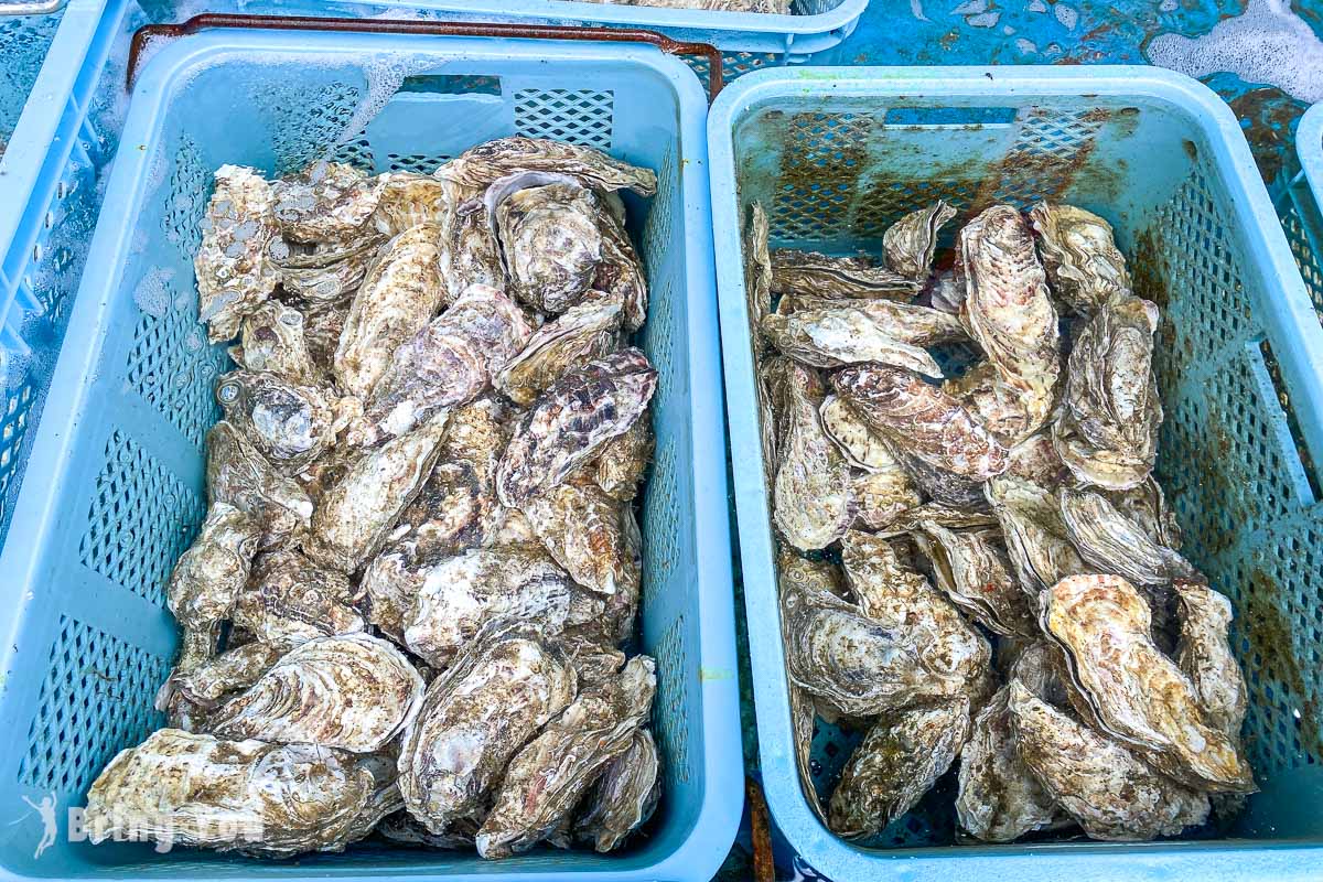 函館居酒屋 海光房