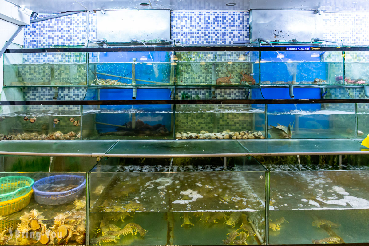 富國島越式鐵帽火鍋推薦|Hạnh Nhung Luxury Restaurant