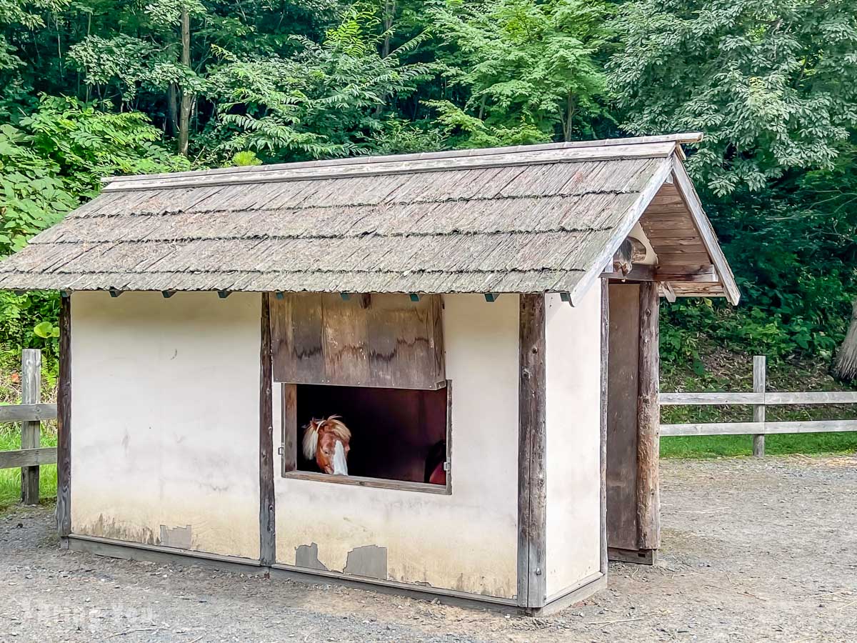 星野渡假村青森屋公園