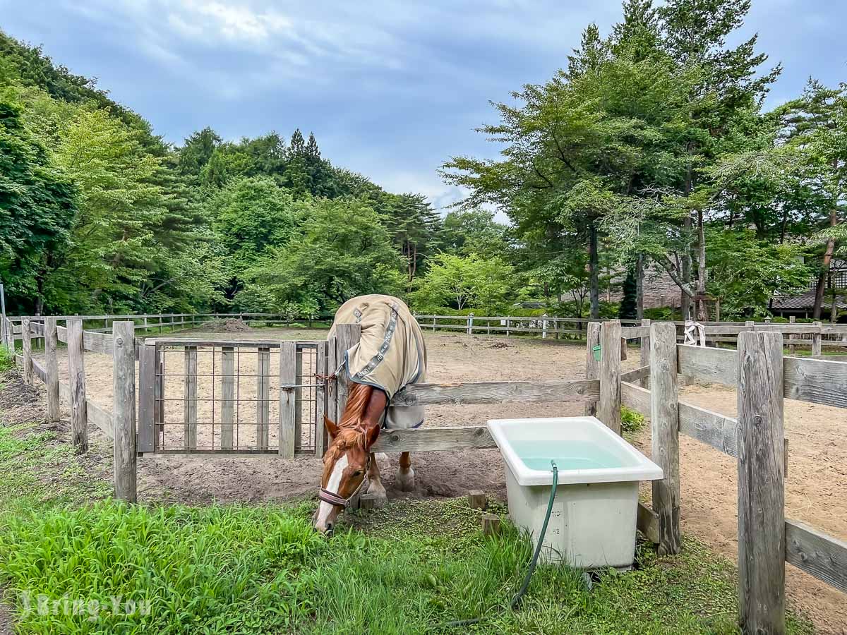 星野渡假村青森屋公園
