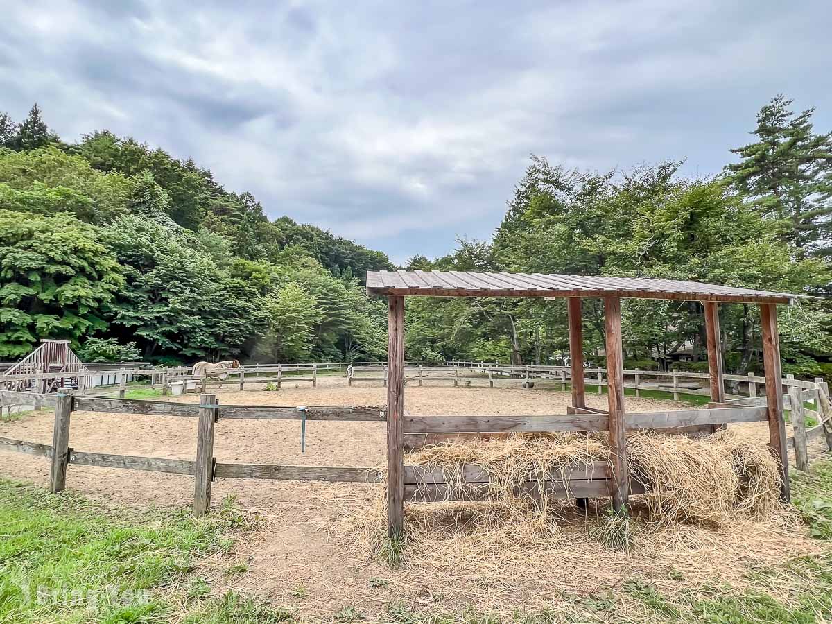 星野渡假村青森屋公園