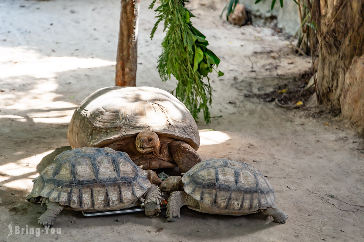 富國島珍珠野生動物園