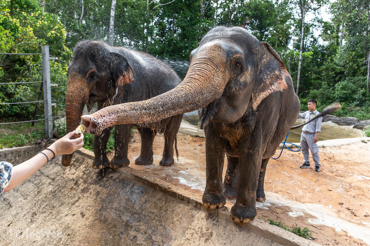富國島珍珠野生動物園