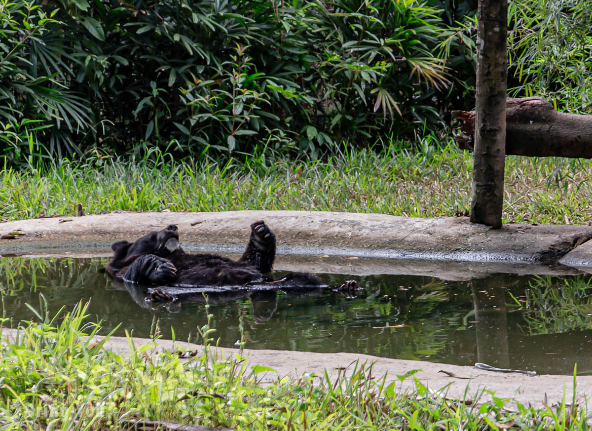 富國島珍珠野生動物園