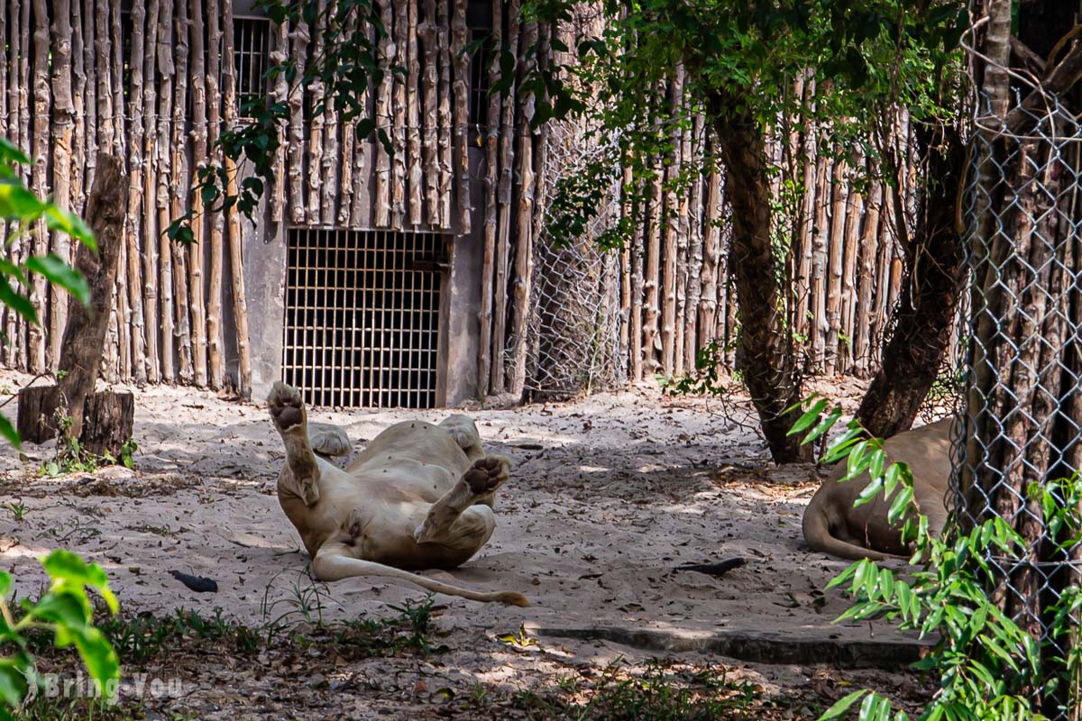 富國島珍珠野生動物園