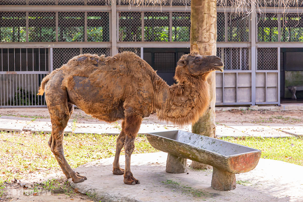 富國島珍珠野生動物園