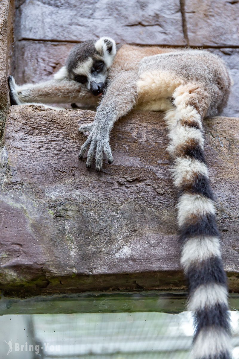 富國島珍珠野生動物園