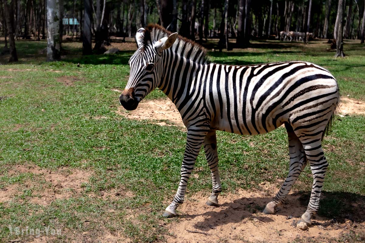 富國島珍珠野生動物園