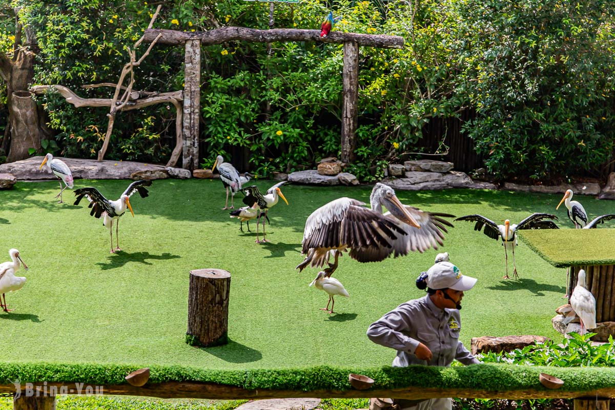 富國島珍珠野生動物園