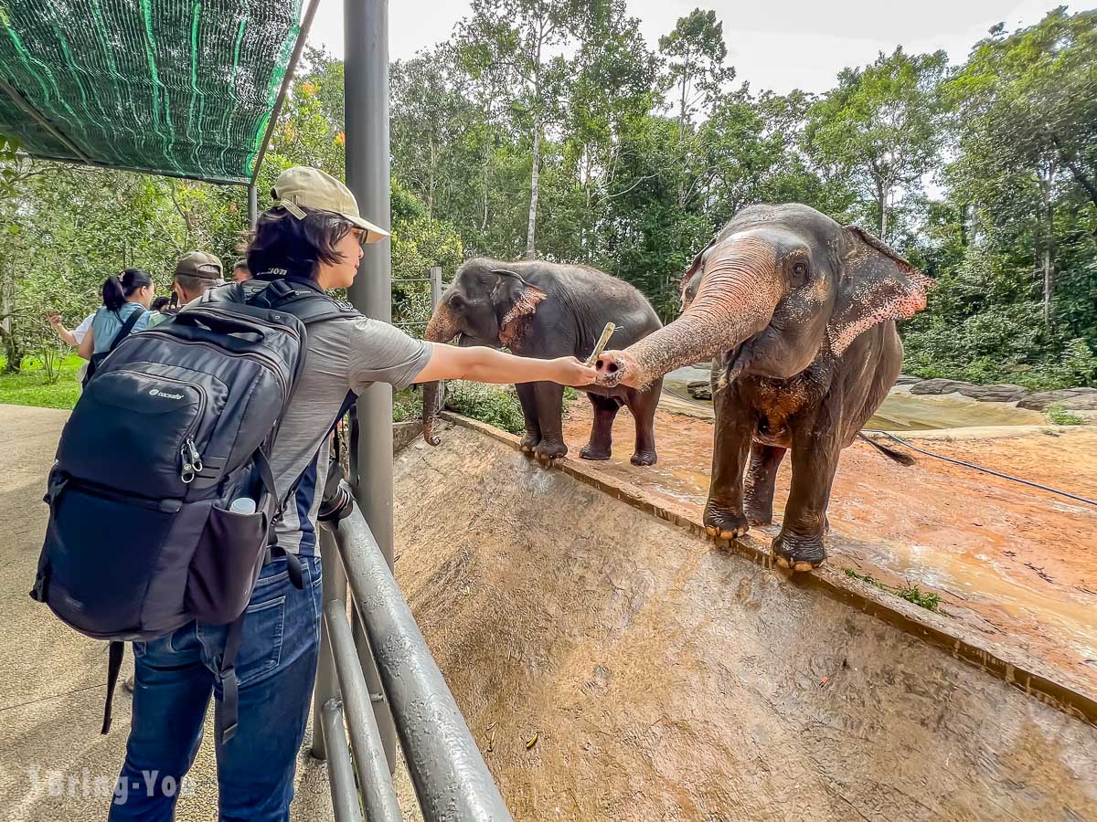 富國島珍珠野生動物園