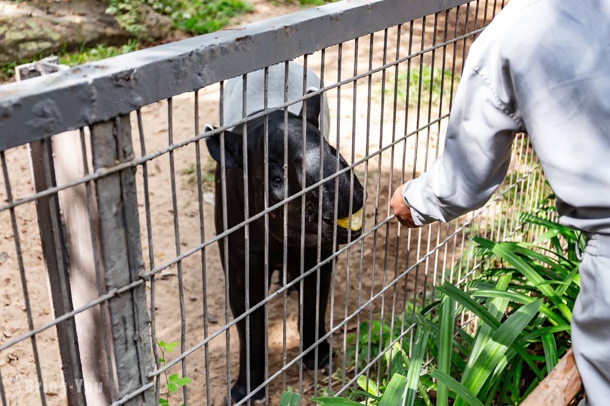 富國島珍珠野生動物園