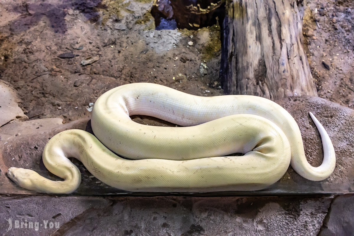 富國島珍珠野生動物園
