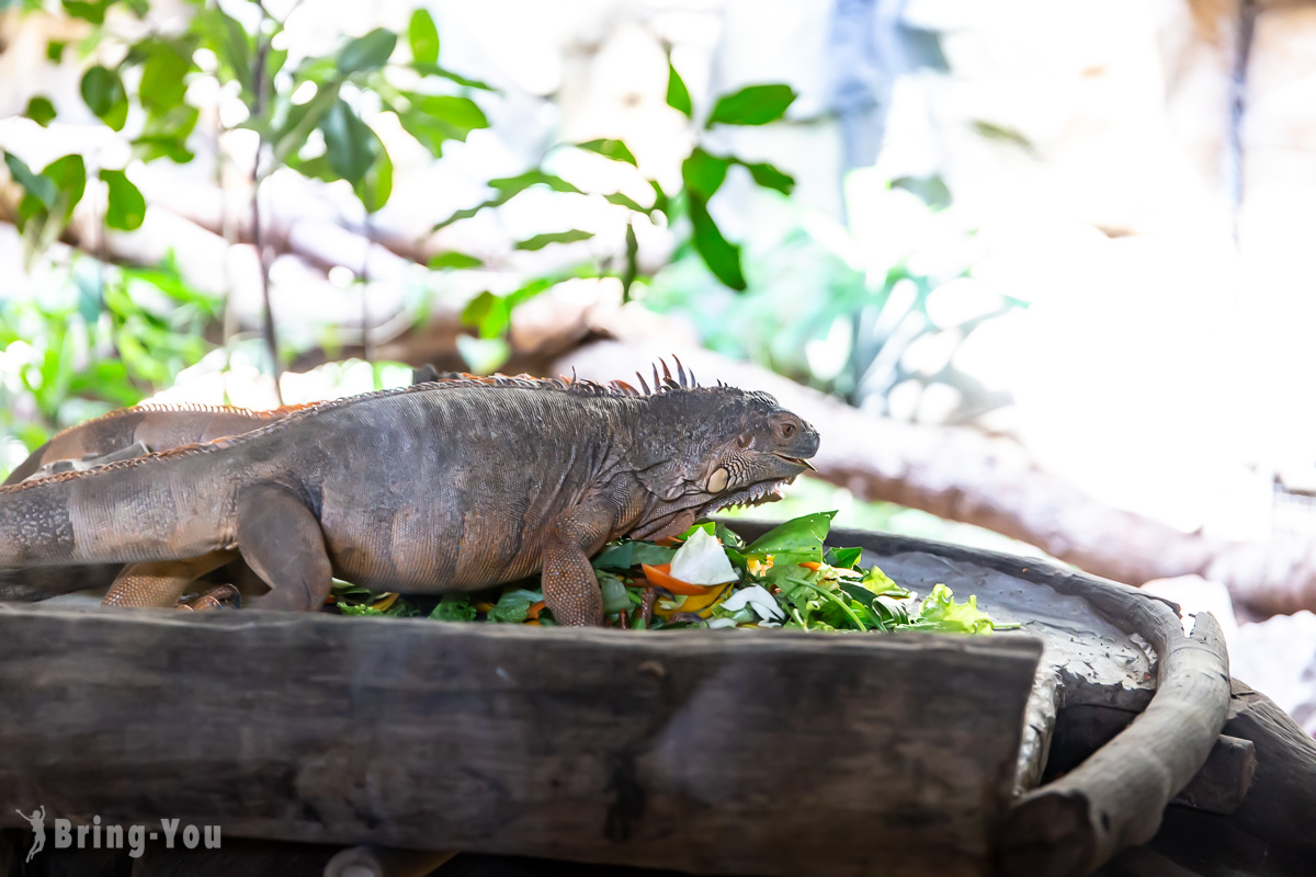 富國島珍珠野生動物園