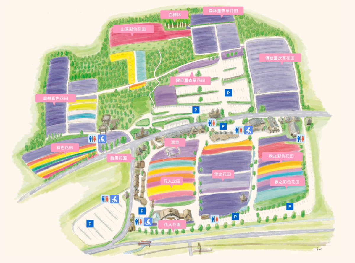 北海道富田农场地图