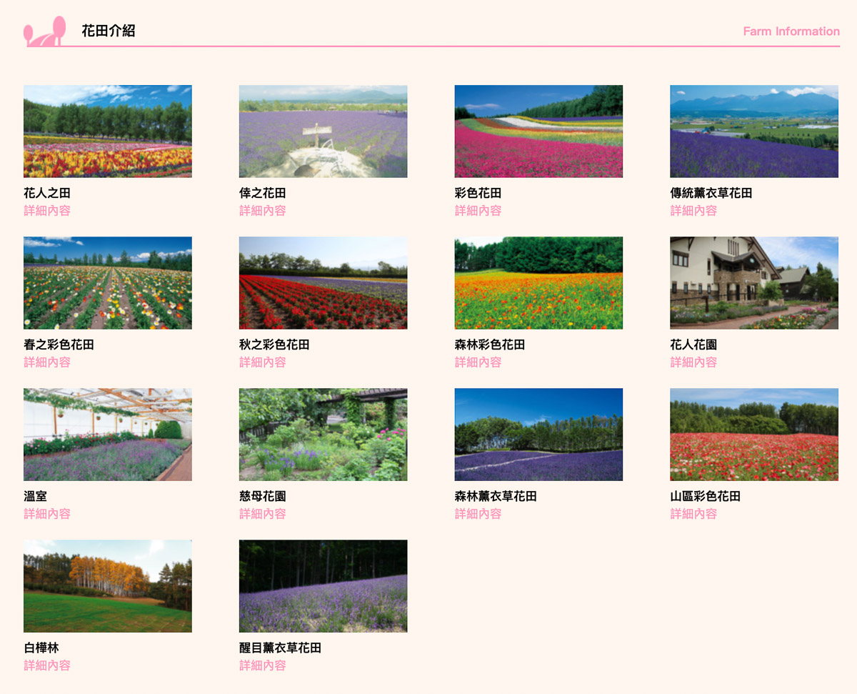 北海道富田农场景点