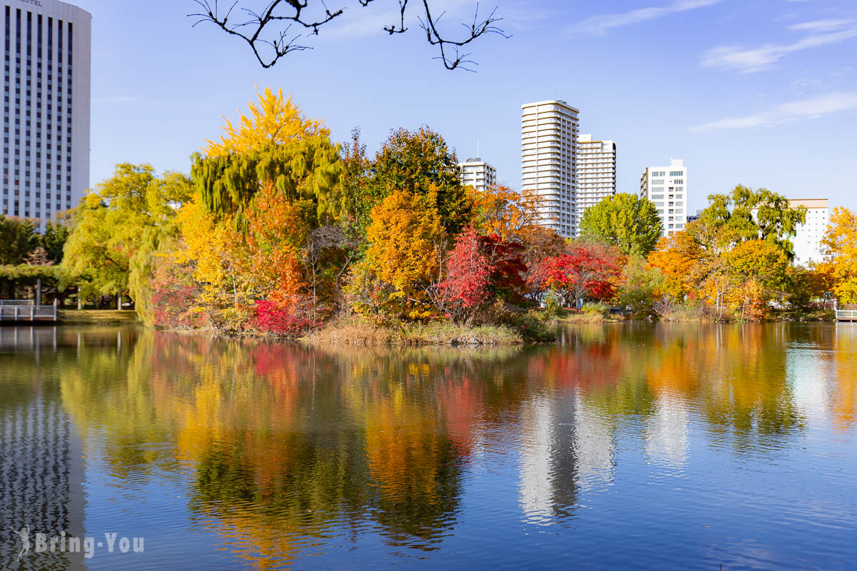 札幌中島公園秋天楓葉