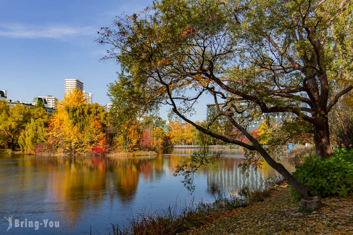札幌中島公園秋天楓葉