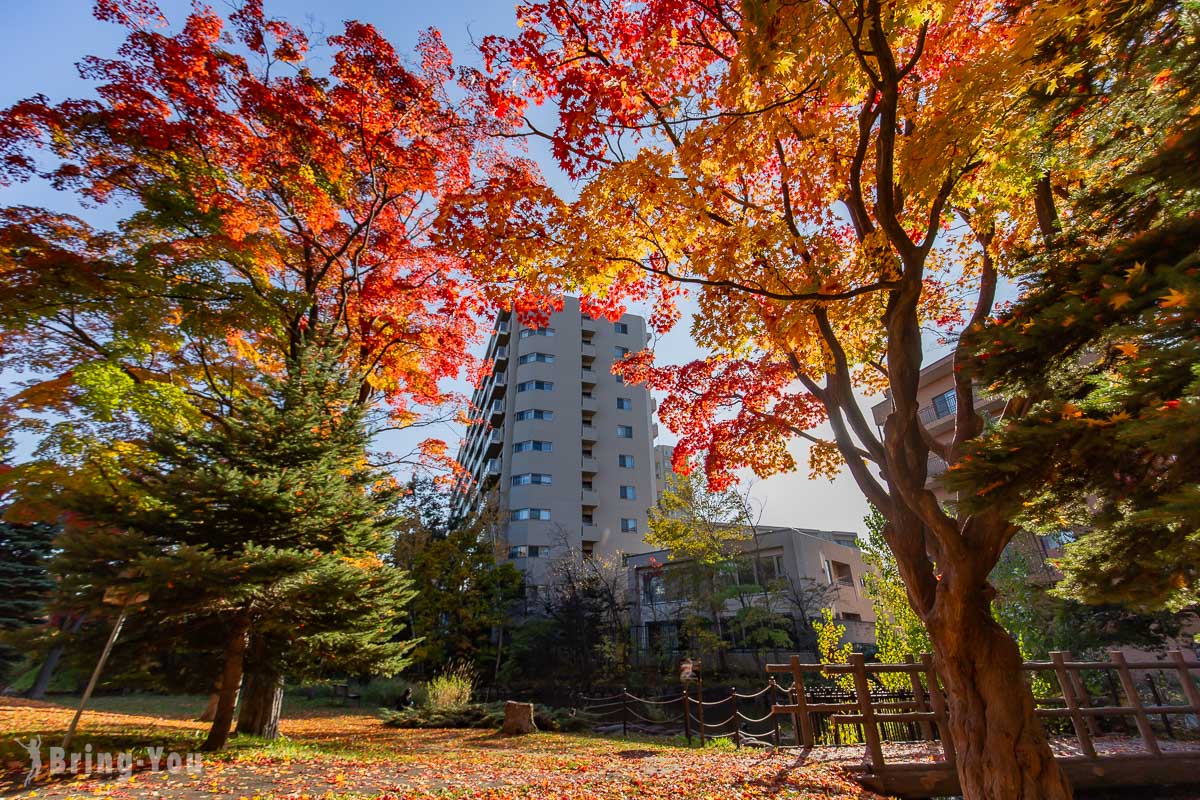 札幌中島公園楓葉