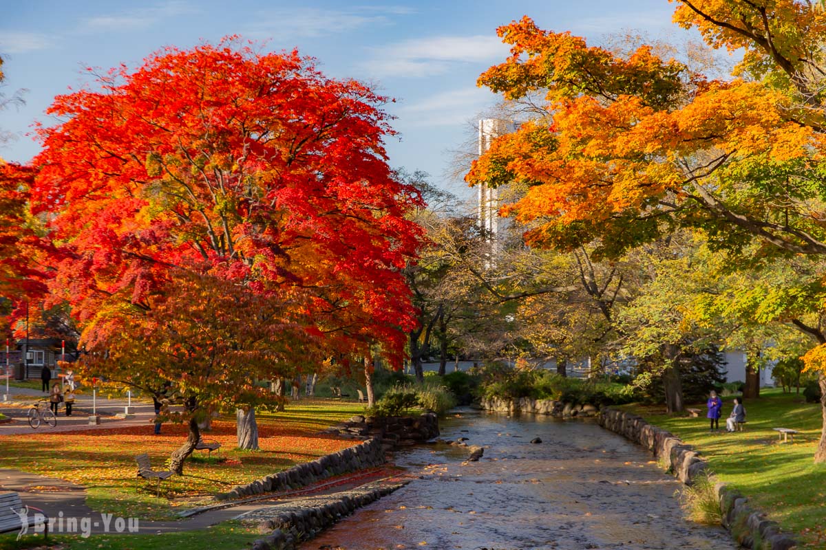 札幌中島公園楓紅