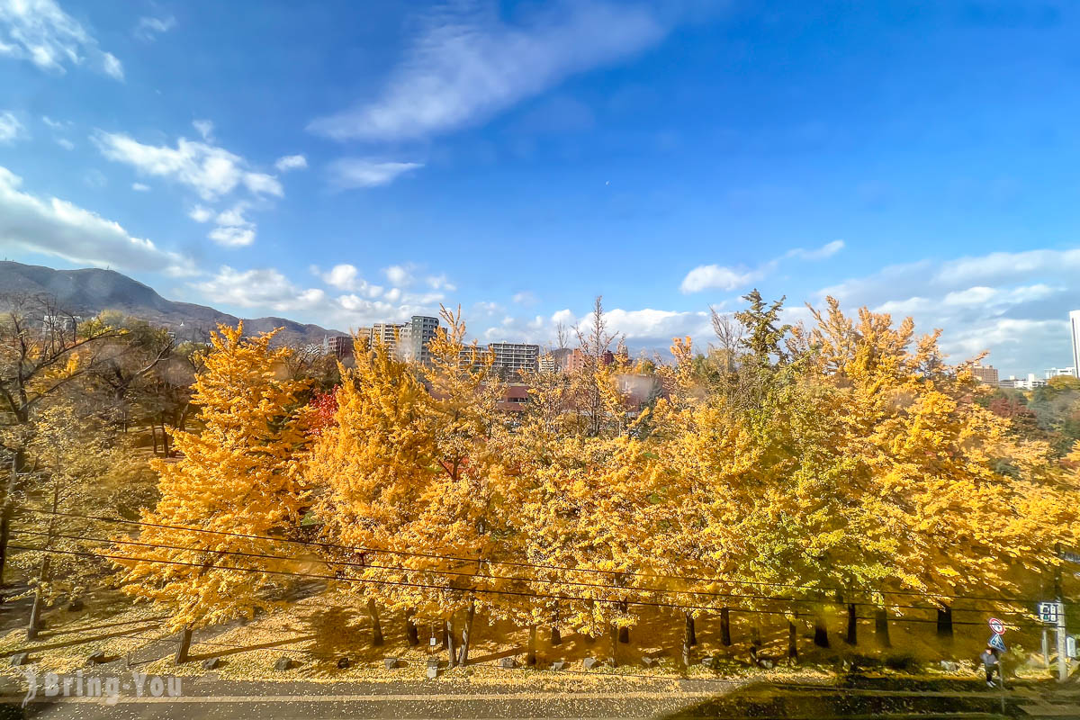 札幌中島公園秋天楓葉