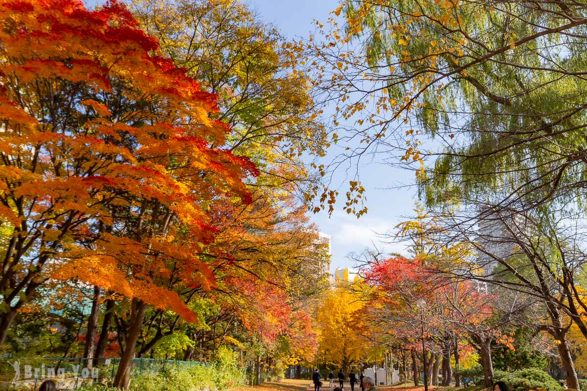 札幌中島公園秋天楓葉
