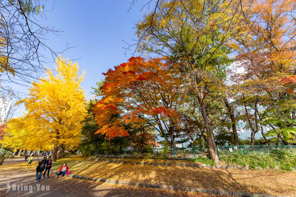 札幌中島公園秋天楓葉