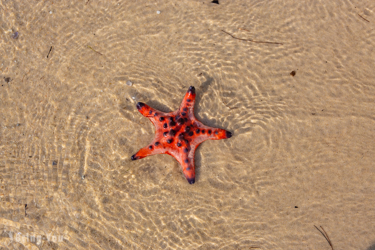 富國島海星沙灘