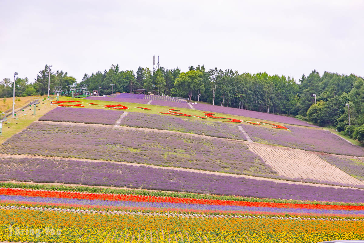 富良野必去景点
