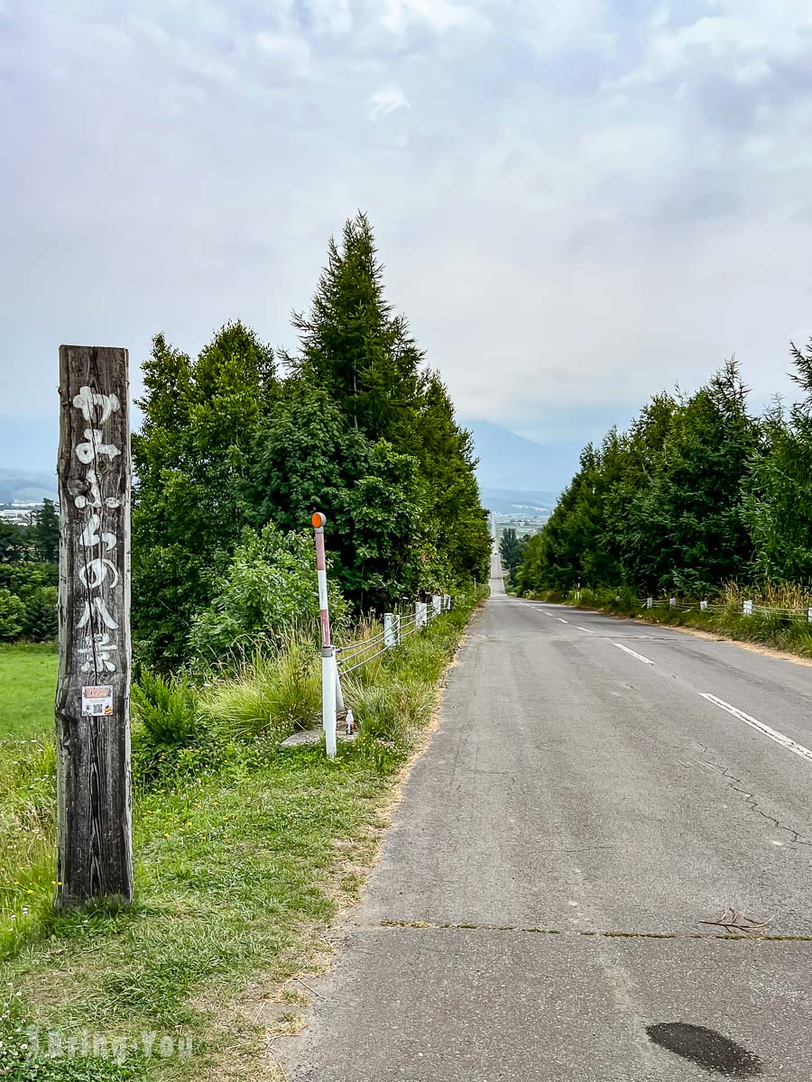 富良野必去景点