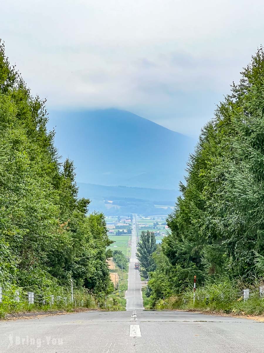 富良野必去景点