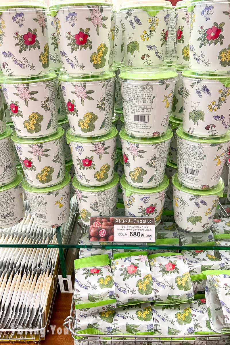 札幌六花亭巧克力