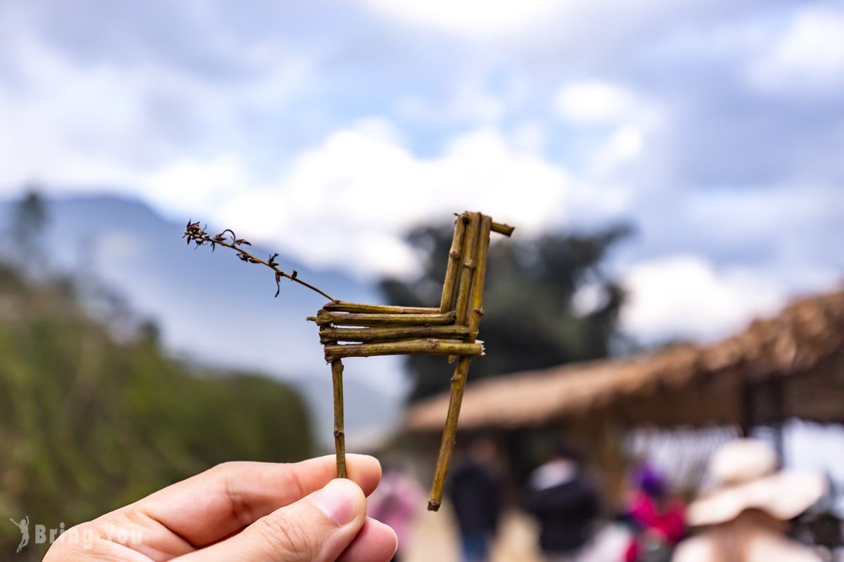 沙壩苗族村落 Ta Van Village 健行