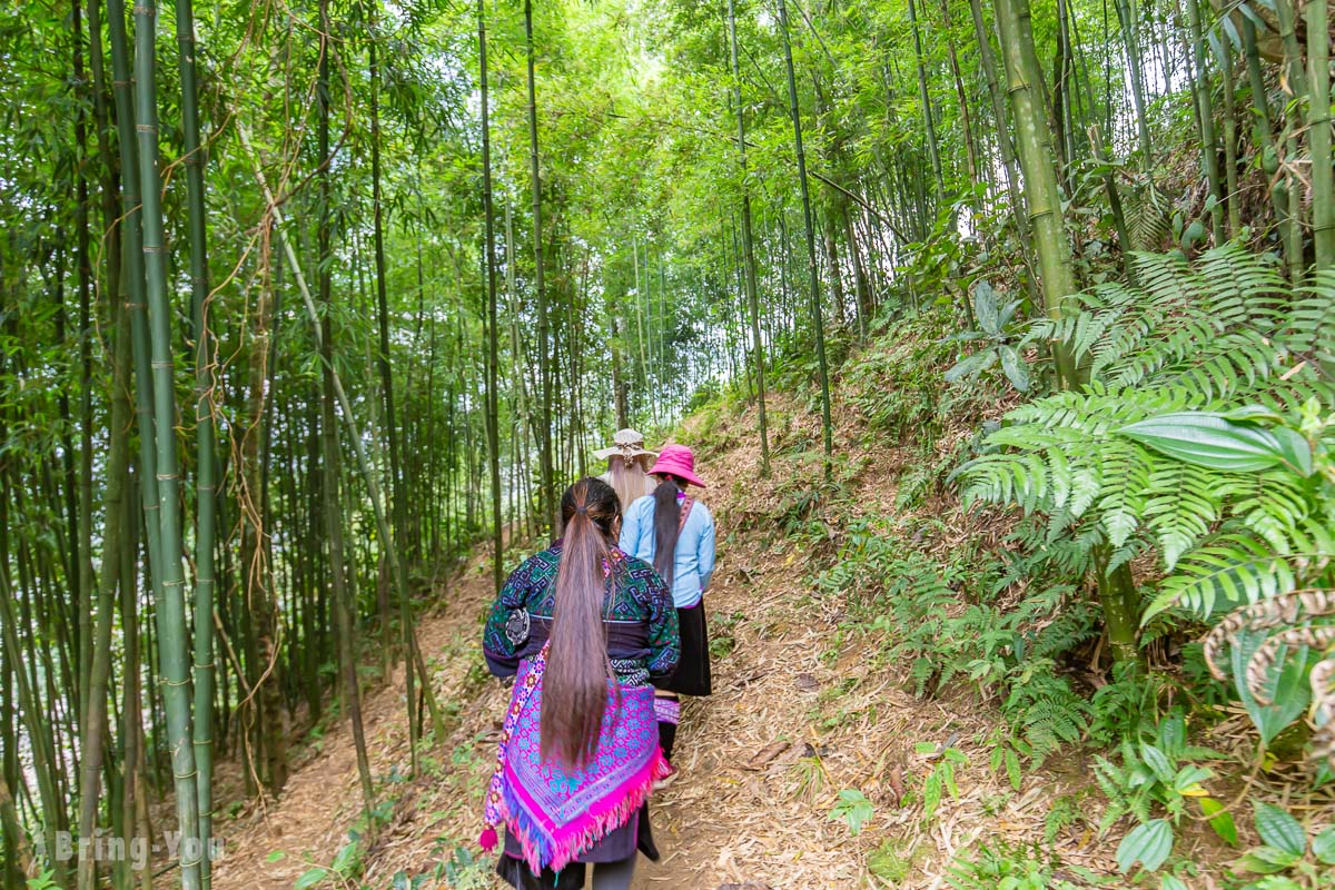沙壩苗族村落 Ta Van Village 健行