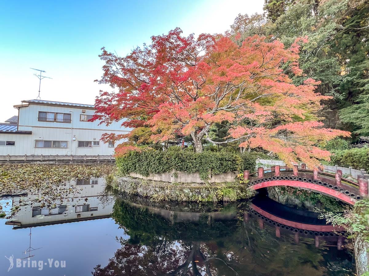 松島一日遊攻略|松島必去景點