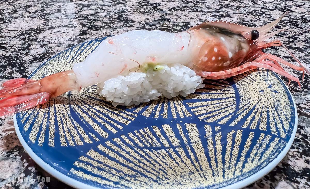 根室花丸必吃推薦