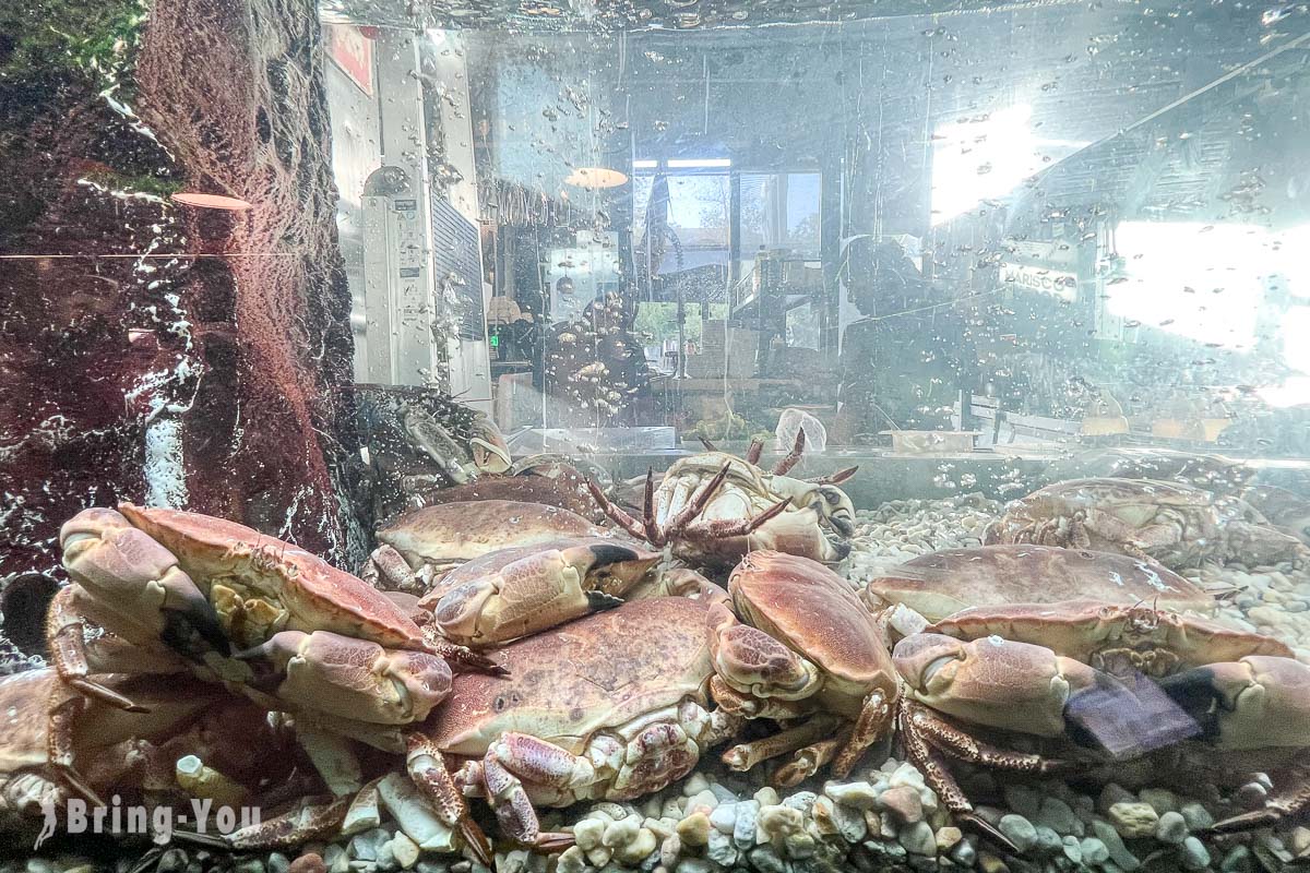葡萄牙里斯本美食广场|Time Out Market Lisbon