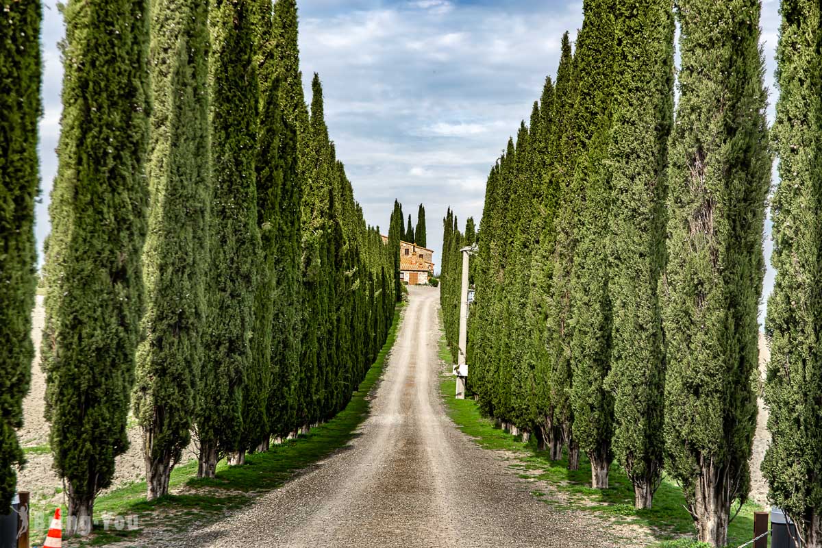 Viale di Cipressi 柏樹大道