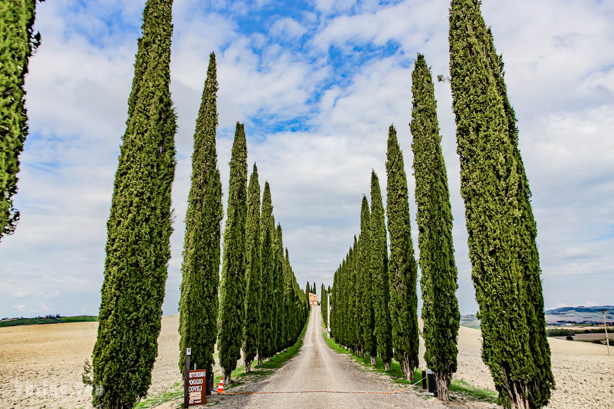 Viale di Cipressi 柏樹大道
