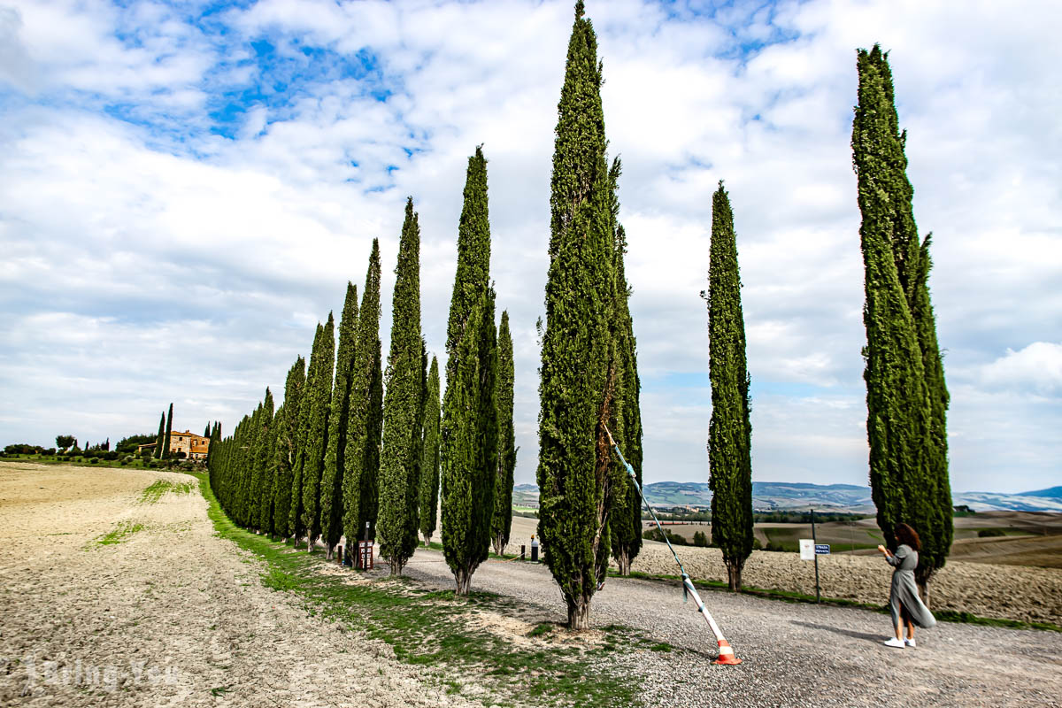 Viale di Cipressi 柏樹大道