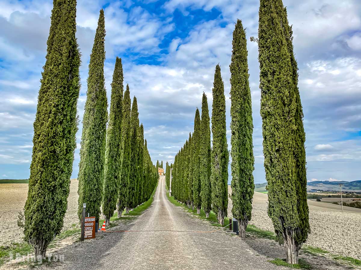 Viale di Cipressi 柏樹大道