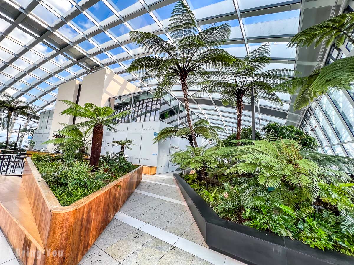倫敦 Sky Garden 空中花園免費觀景台