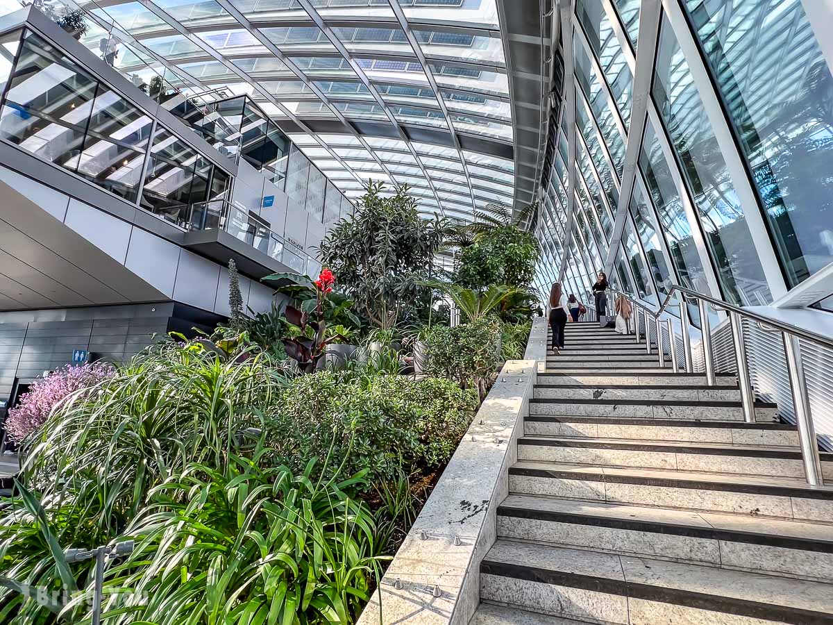 倫敦 Sky Garden 空中花園免費觀景台