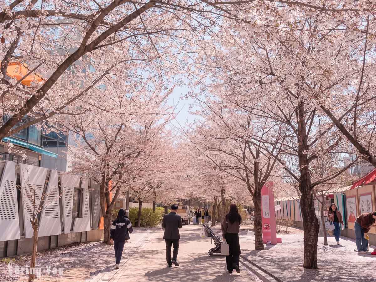 【京义林荫道书街】弘大樱花隧道攻略：废弃铁道改建的文青阅读空间
