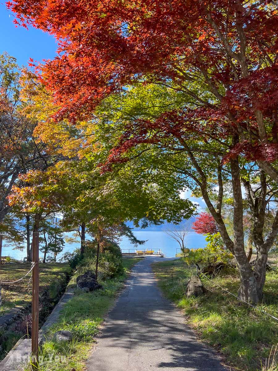 田泽湖天鹅船