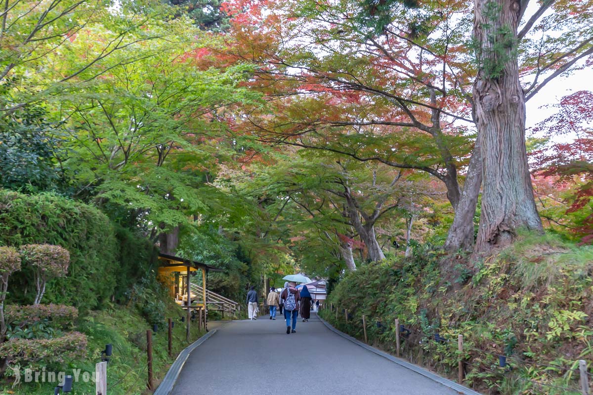 中尊寺必看介紹｜岩手賞楓景點
