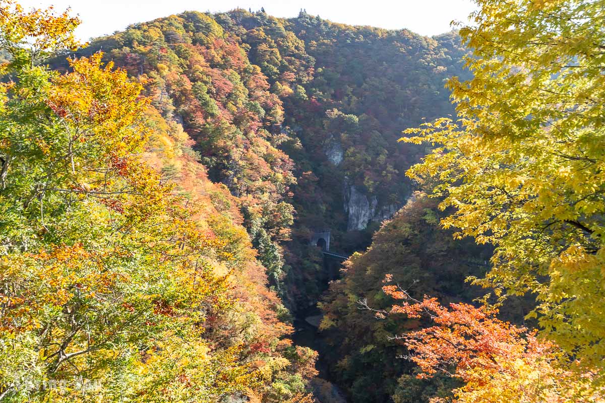 鳴子峽遊步道大深澤橋拍攝火車過橋的楓紅角度